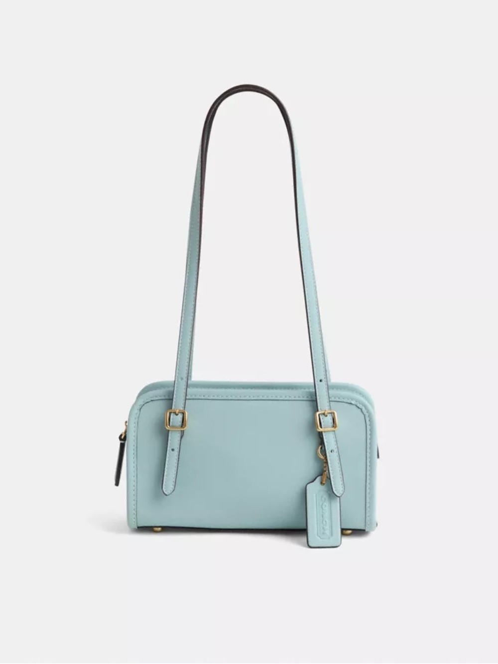 COACH Women's Glovetanned Leather Swing Zip Bag 20